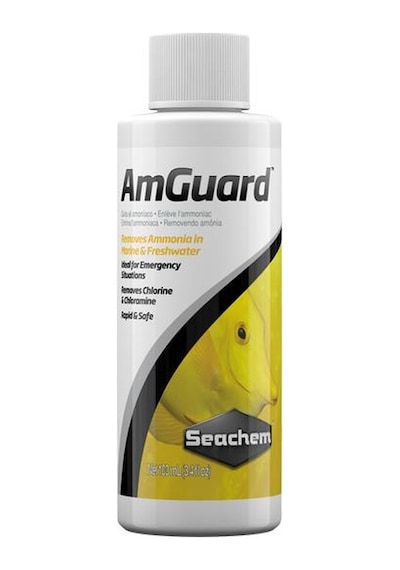 Seachem Amguard 100 ML - Amonyak Giderici