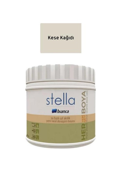 Bianca Stella Su Bazlı Saf Akrilik Boya Kese Kağıdı 500 ML