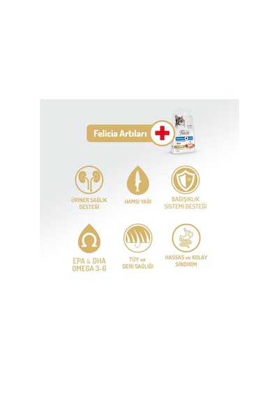 Felicia Derma Care Somonlu Yetişkin Kedi Maması 2kg X 2 Adet