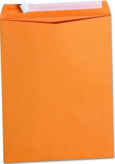 Pull & Seal Katalog Zarf, 10 X 13, Güç, 100/box, Sold As 1 Box