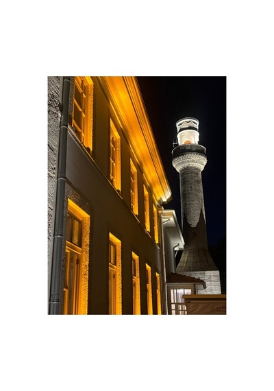 20cm 6w Led Wallwasher Beyaz 6500k Dış Cephe, Minare, Bahçe Aydınlatma Iç-dış Kullanım Ip65