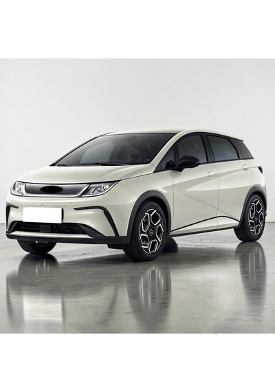 Byd Dolphin 2024+ Arka Cam 20cm Silecek Süpürgesi