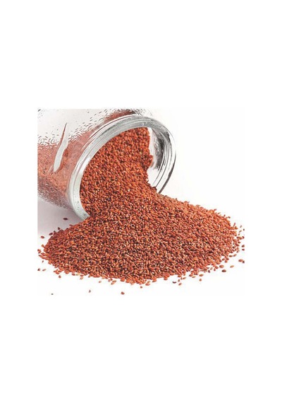 Organik Bitkim Tane Tere Tohumu 500 G