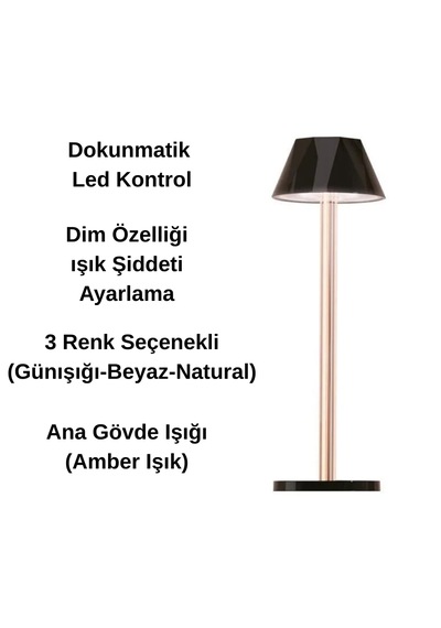 Forlife Dokunmatik Şarjlı Dekoratif Mellea Led Masa Lambası Siyah