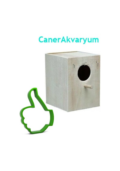Ahşap Küçük Muhabbet Kuş Yuvalık