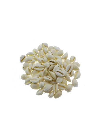 Mutluadim 100Gr Annulus Deniz Kabuğu Delikli