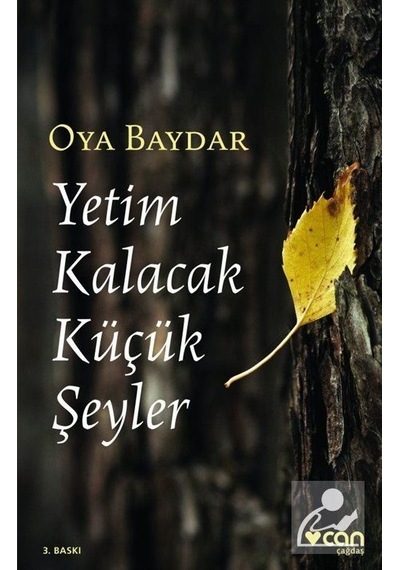 Yetim Kalacak Küçük Şeyler - Oya Baydar