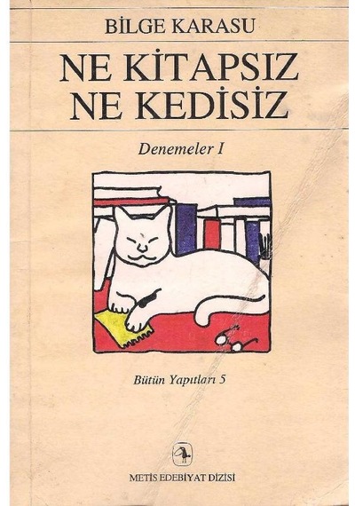 Ne Kitapsız Ne Kedisiz - Bilge Karasu 2.el