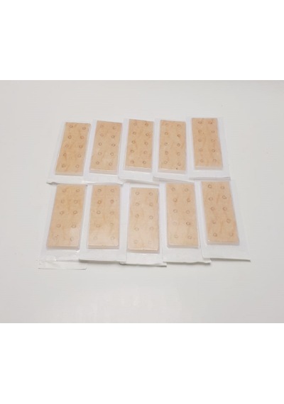 Shenlong Press Needle Kalıcı Kulak İğnesi 0.22 x 1.7 MM 100 Adet