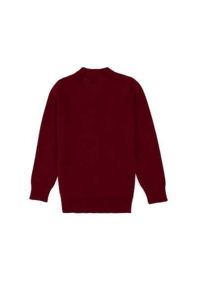 U.s. Polo Assn. Erkek Çocuk Bordo Hırka Triko 50295571-vr014 Bordo