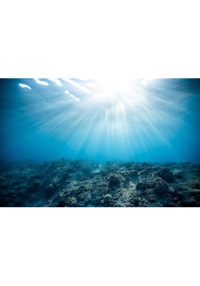 Kanki Pet 70 cm KP7045016 Akvaryum Arka Fon Yapıştırma  70x45 cm