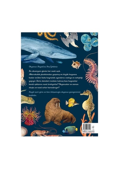 Oceanarium - Okyanus Müzesi Ansiklopedik Çocuk Kitabı