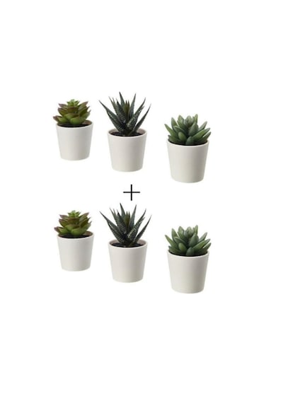 Ikea Fejka 2 Li Kaktüs Çiçek