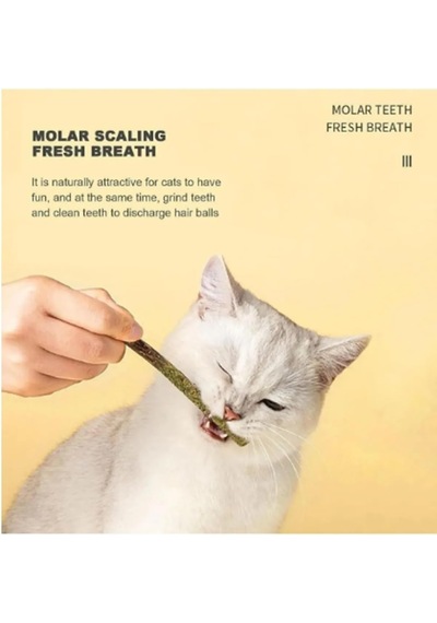 Tineke 6 Adet Doğal Meyve Aromalı Matatabi Çubuğu Catnip Stick Kedi Catnip Dalı Gall-fruıt-stick