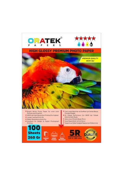 Epson 101 L14150 Evertday Premium Parlak 13 x 18 CM Fotoğraf Kağıdı 260 G 100 Adet