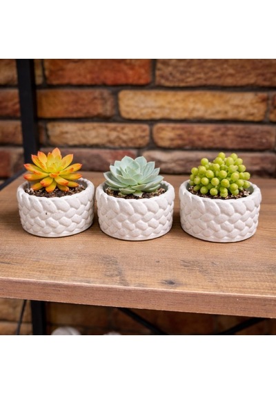 Tr 3'lü Mini Saksı Seti 5 Cm El Yapımı Dekoratif Beton Saksı Küçük Sukulent Saksısı, Masa & Raf Dekoru, Diğer