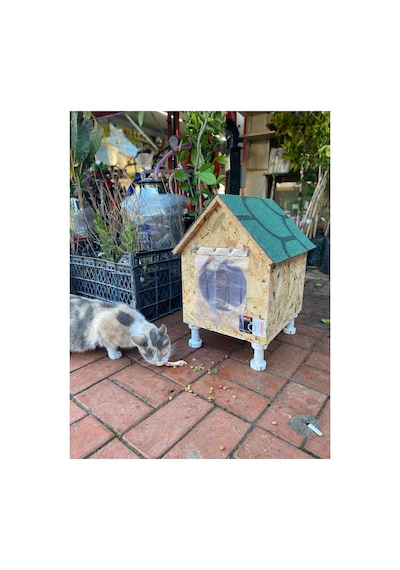 Kedi Evi Kedi Yuvası Kedi Barınağı Su Ve Isı Yalıtımı İç Ve Dış Mekan İçin 33x38x40-video Anlatımlı