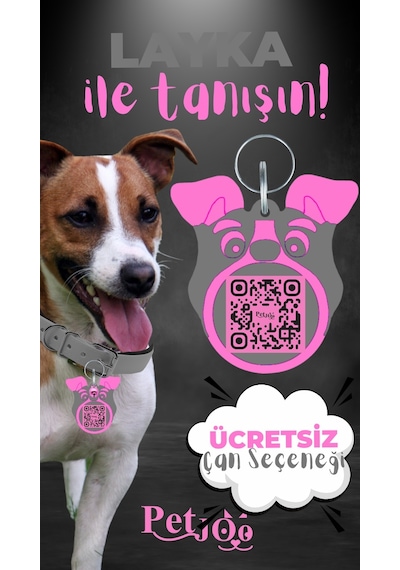 Petjoo 22.Layka Pembe-Gri Qr'lı Köpek Künyesi