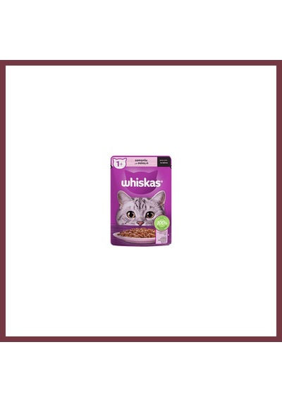 Storeşahin Pouch Sos İçinde Somonlu Yetişkin Kedi Konservesi 85 Gr Shn0720