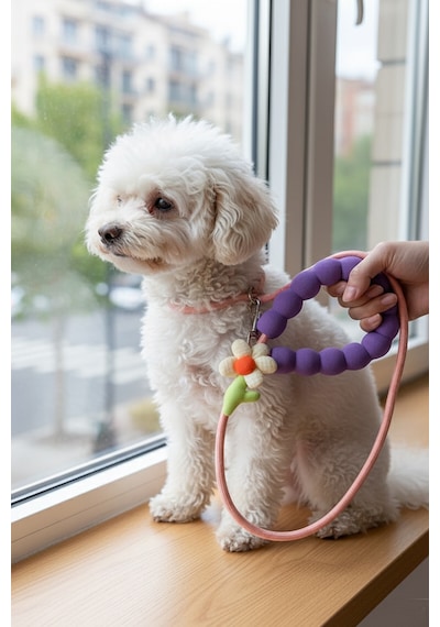 Caş Dekorasyon Karışık Renk Çiçek Figürlü İpli Kedi Köpek Tasması Çok Renkli