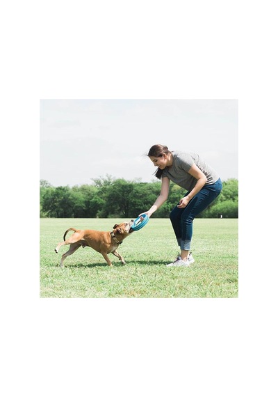 Rugged Fetch Wheel Ekstra Dayanıklı Köpek Oyun Halkası