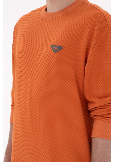 U.S. Polo Assn. Erkek Comfort Fit Bisiklet Yaka Tarçın Sweatshirt 50290777-VR191