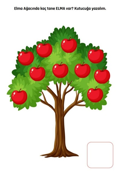 Kodlamalı Matematik Yaz-sil Kitabı