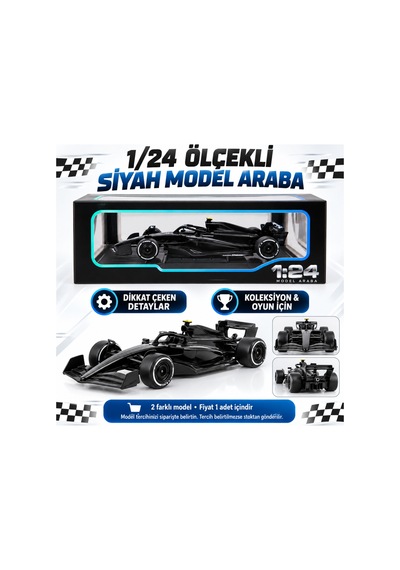 1/24 Formula F1 Siyah Model Araba Çok Renkli
