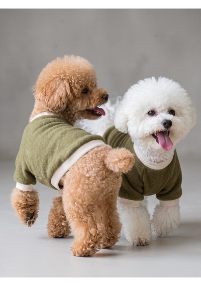 Natura Köpek Polar Sweatshirt Kapüşonsuz Yumuşak Polar Köpek Kıyafeti Nefti Yeşil