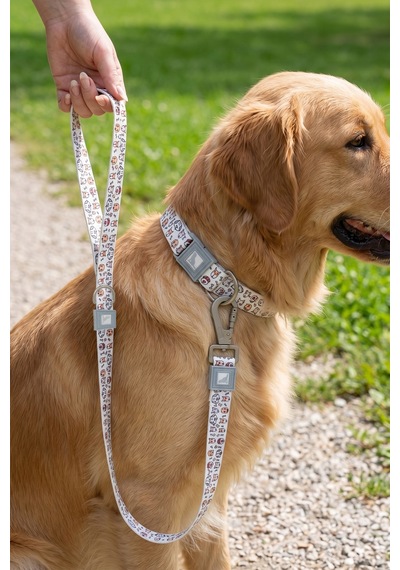 Köpekler İçin Dayanıklı Ve Güvenli, Desenli Gezdirme Tasması 25mm Gri