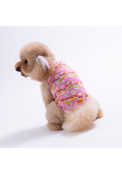 Daisy Tişört Kedi Köpek Tişörtü-kedi Köpek Kıyafeti