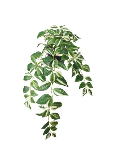 Ikea Fejka Saksılı Yapay Tradescantia 60 Cm Yeşil