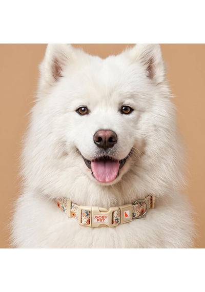 Desenli Köpek Boyun Tasması 25 Mm, Ayarlanabilir 39-55 Cm, Güçlendirilmiş Emniyet Kilitli Toka, Paslanmaz Metal D H Çok Renkli