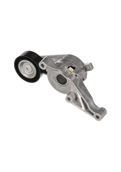 Rulman Alternatör Gergi Ca3 Golf5 03g903315c / Asp