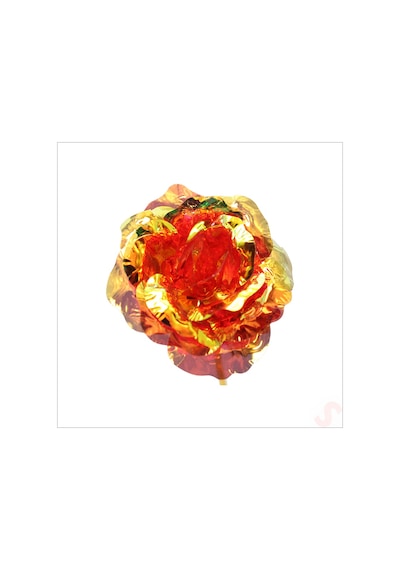 Sonsuzluk Gülü, 25 Cm X 8cm - Kırmızı