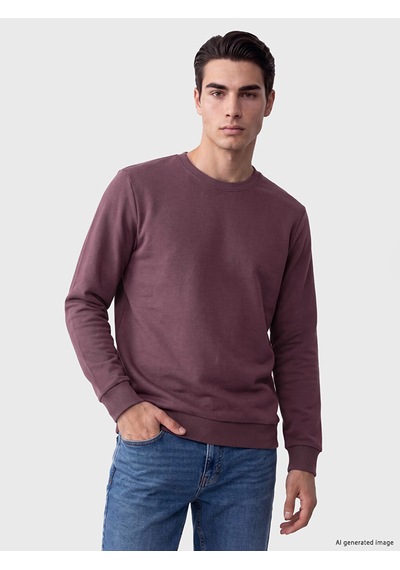 Lcwaıkıkı Classic Mürdüm Bisiklet Yaka Erkek Kalın Sweatshirt