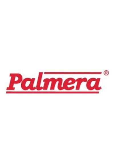 Su Motoru Hortum Rekor Takımı 1" Palmera Qgz25-30a 2 Zamanlı