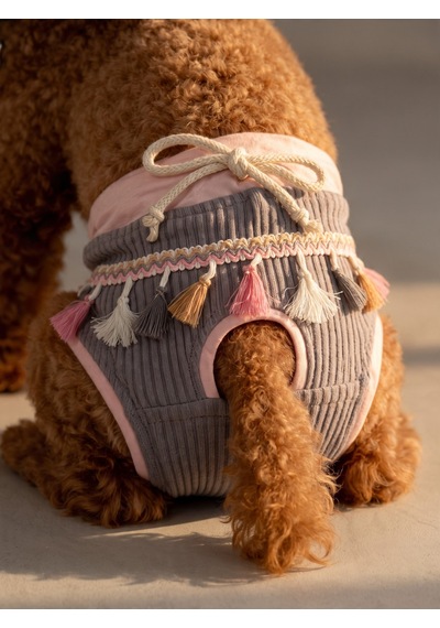 Mini Tassel Lilly Dişi Köpek Regl Külotu Köpek Donu Köpek İç Çamaşırı Pet Kıyafet Küçük Irklar İçin