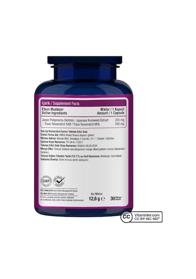 One Up Resveratrol 30 Kapsül