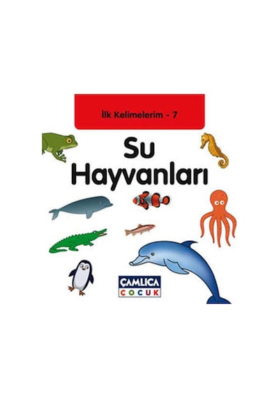 Su Hayvanları / İlk Kelimelerim-7
