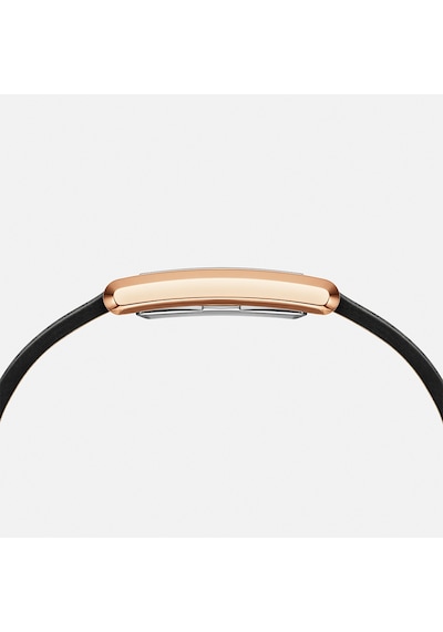 Daniel Wellington Dw00600693 Kadın Kol Saati Diğer