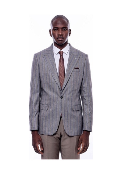 Ekose Çizgili Slim Fit Gri Erkek Ceket - Wessi Gri