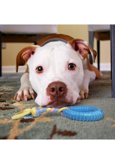 Dayanıklı Köpek Diş Kaşıyıcı Ve Çiğneme Oyuncağı