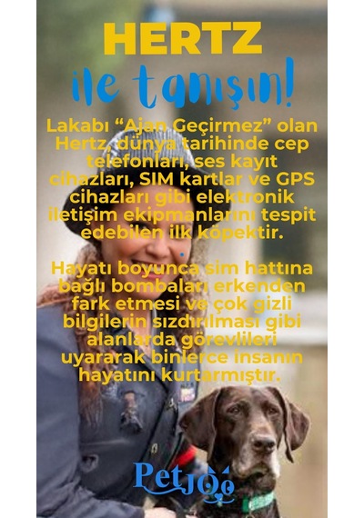 Petjoo 26.Hertz Mavi-Sarı Qr'lı Köpek Künyesi