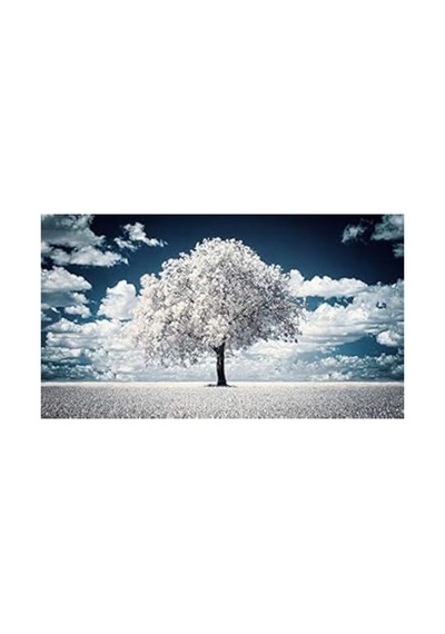 Foto Tianya Ir Infrared Kızılötesi 720nm Filtre 67mm Diğer