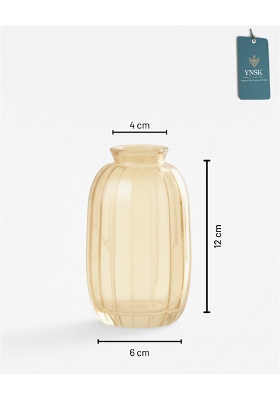 Chacha Home Modern 3'lü Minimalist Cam Çiçek Vazosu Dekoratif Masa Üstü Vazo Seti Bal