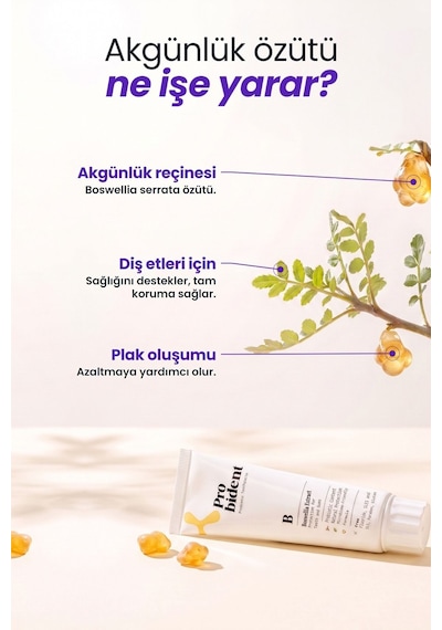 Probident Akgünlük Özütü İlaveli Probiyotik Diş Macunu 75 ML