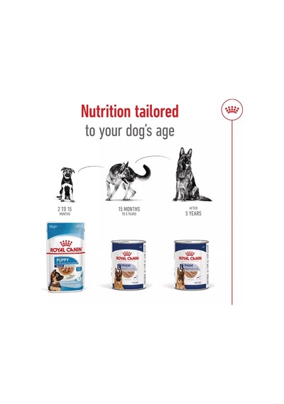 Royal Canın Maxi Adult Büyük Irk Köpekler İçin Pate 1 Adet 410 Gr 257474659