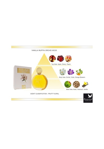 Dreamland Vanilla Muffin Orkide Kadın Parfüm Edp 100ml Vanilya