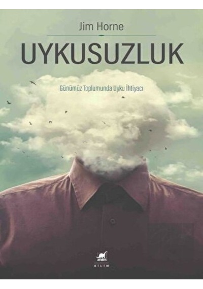 Uykusuzluk - Ayrıntı Yayınları